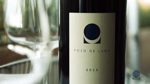 Conoce el mejor vino de México Opción dos: Pozo de Luna: disfruta del mejor vino смотреть онлайн