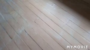 Отделка коридора, бюджетный вариант.