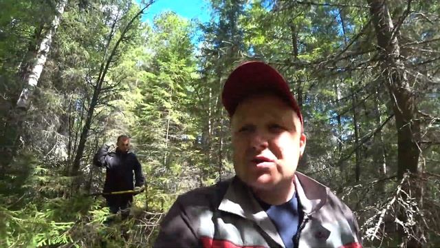 НАШЛИ ПОДКЛАДКИ И ШОКОЛАДКИ. МЕТАЛЛОКОП 2020. смотреть онлайн