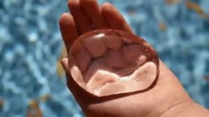 Без Него мир похож на пустыню