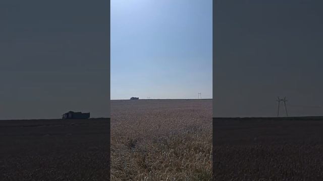 Уборка и выводы 2023 года смотреть онлайн