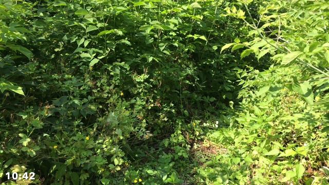 Первый раз ночуем в заброшке смотреть онлайн