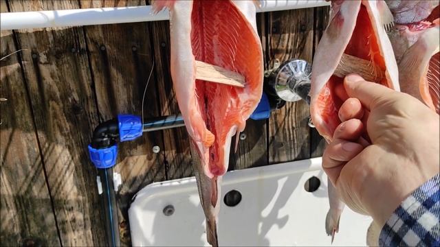 Музыкальные Перформансы и Импровизации