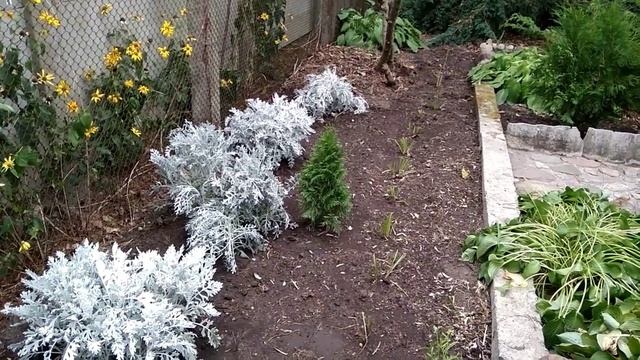 Подготовка участка к осенне-зимнему сезону. Часть 1 смотреть онлайн