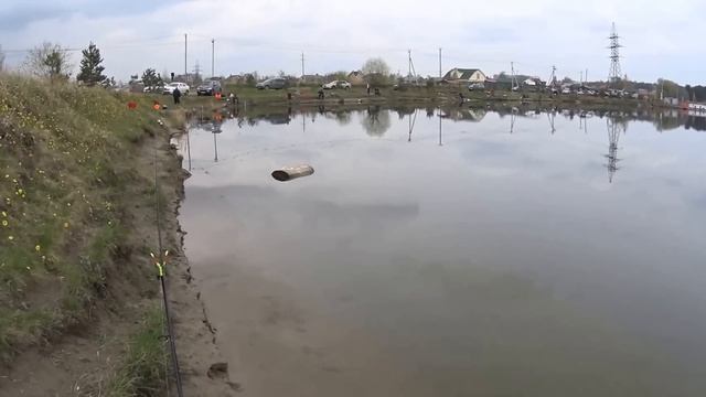 Ловля карпа в Бисерово. Сarp fishing. смотреть онлайн
