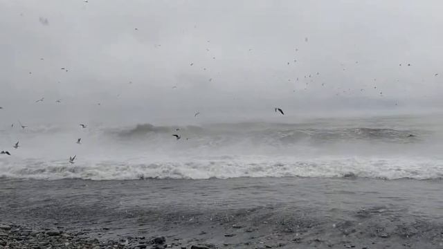 Шум моря, волны ?Батуми зимой????️ смотреть онлайн