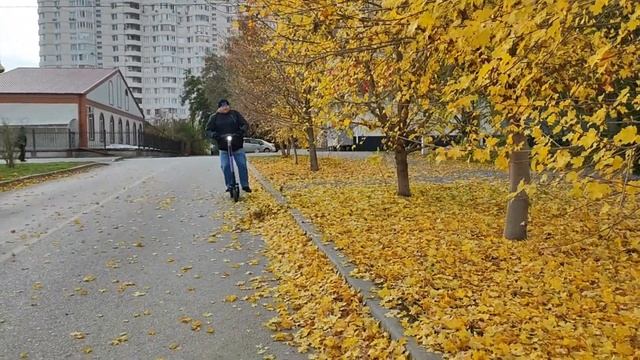 VLOG:Поставлен рекорд! Проехали 53 км на самокатах по Волгограду. Лена с Днем Рождения!!! 12.11.22 смотреть онлайн