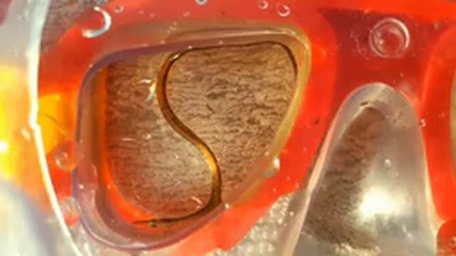 жук СКОРОБЕЙ смотреть онлайн