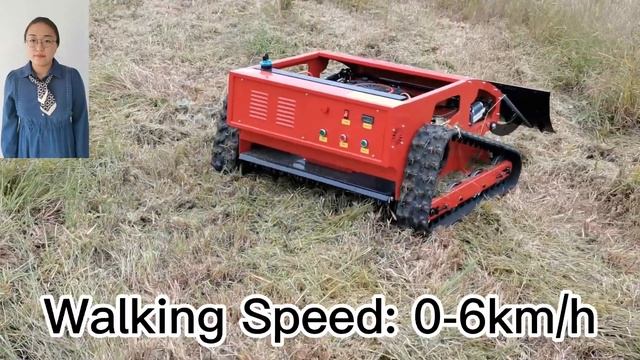 factory direct sales wireless radio control bush trimmer in China смотреть онлайн