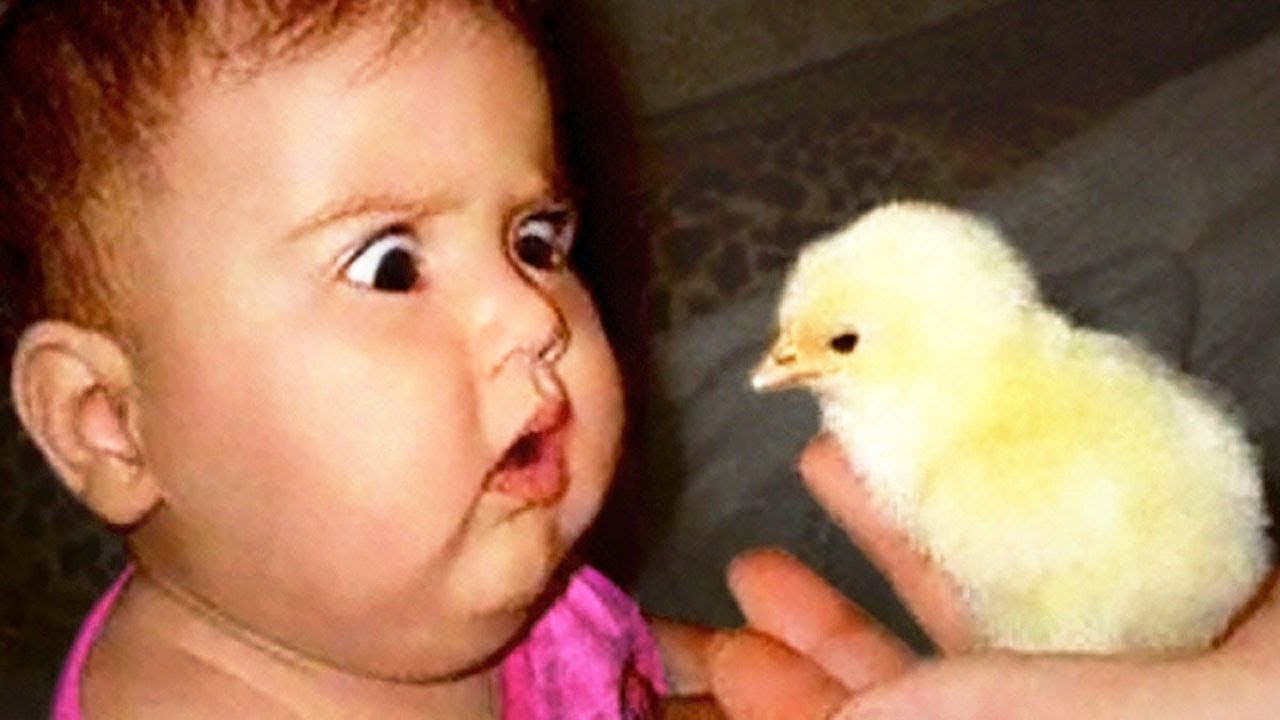 Дети и животные? Самые забавные видео с детишками? смотреть онлайн