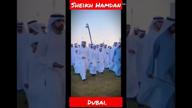 Shaikh Hamdan 14 promax Protocol Fizza #shortsfeed #mercedes #youtube смотреть онлайн