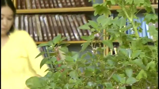 Ч Айтматовдун жылына карата смотреть онлайн