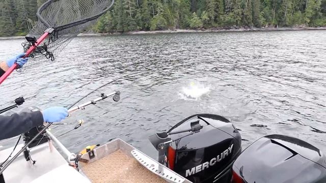 BEST fishing lesson EVER! Kids learn how to catch Salmon смотреть онлайн