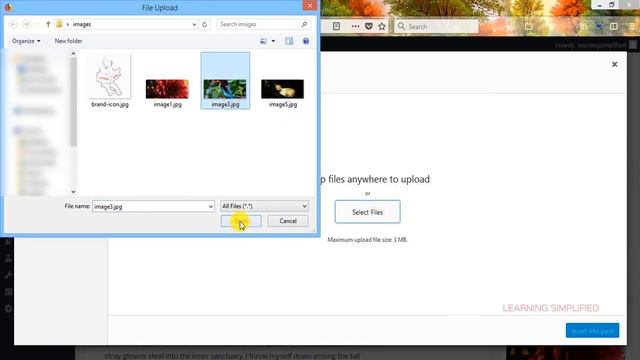 How to write SEO friendly post in WordPress part2-Properly insert Images смотреть онлайн