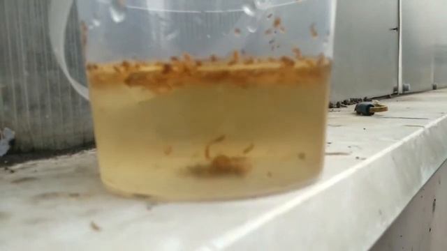 18+ КАК ПРОВЕРИТЬ КАЧЕСТВО СИГАРЕТ. СУПЕРВЫПУСК. САША КОЛБАСА МЕГАПЬЯН. смотреть онлайн