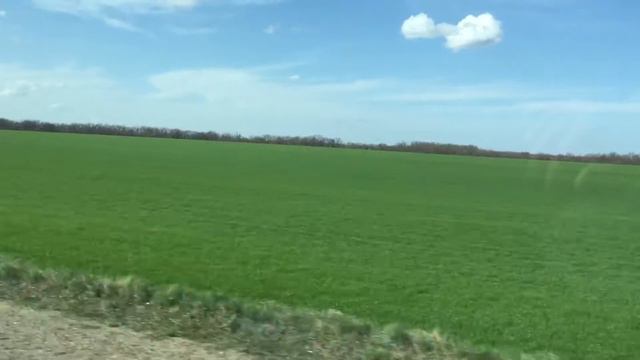 Весна смотреть онлайн