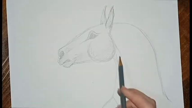 КАК НАРИСОВАТЬ ЛОШАДЬ!!!\HOW TO DRAW A HOURSE!!\ смотреть онлайн