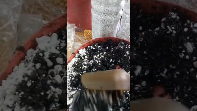 how to use perlite to your soil смотреть онлайн