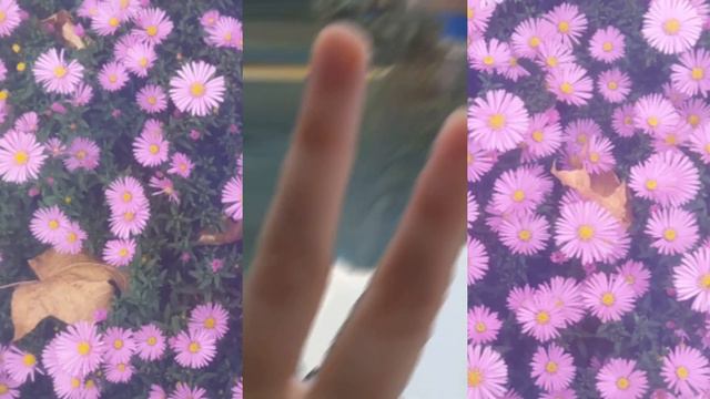 🌻"Эстетика" больницы🌻 Если требуются объяснения ситуации пишите в комментарии смотреть онлайн