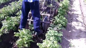 Дисковый окучник с опорными дисками 3