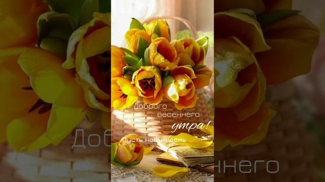 Доброе утро доброго дня #shorts смотреть онлайн