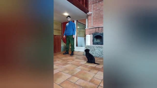 Щенок. Инструкция по применению | Радик Аксанов смотреть онлайн