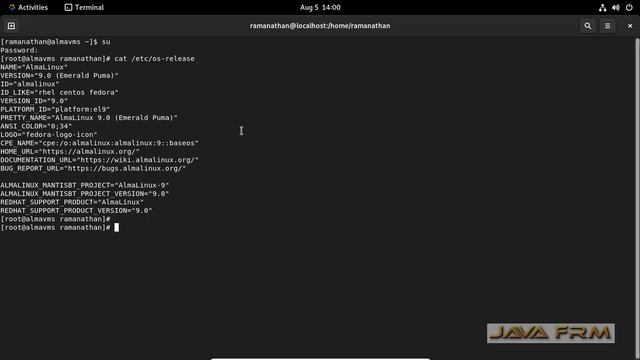 How to check OS Release Version on AlmaLinux 9 смотреть онлайн