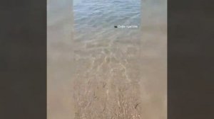 Пляж от отеля sun siti 4*. На море с детьми. Утро, 9 часов. Турция, Сиде, май 2019 год.