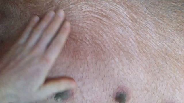 Приготовление к опоросам!Небольшой обзор! смотреть онлайн