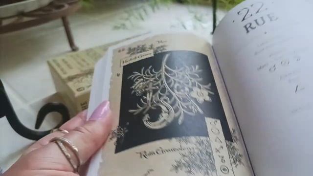 Magickal Botanical Oracle Review & Full Flip Through смотреть онлайн