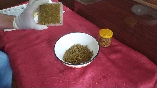 Получение перги в сотопазлах. Результат, что получилось!!! смотреть онлайн