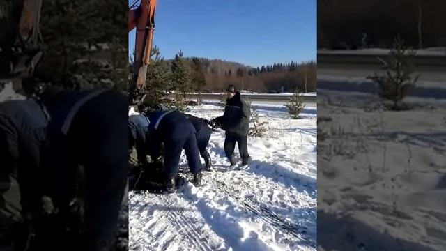 Приколы _ Показуха для Властей Новинки 2017 смотреть онлайн