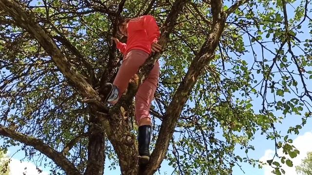 В лес за ягодой! Мама на дереве. Папа устанавливает бойлер. Псковская область. смотреть онлайн
