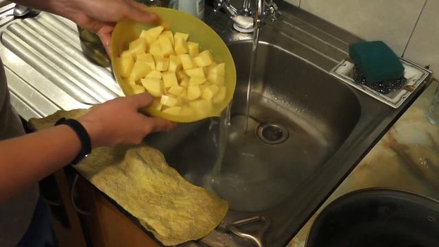 Животные в Зоопарках