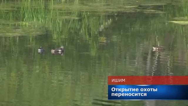 сезон охоты смотреть онлайн