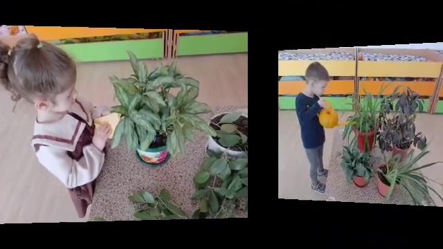 Мы ухаживаем за нашими комнатными растениями смотреть онлайн