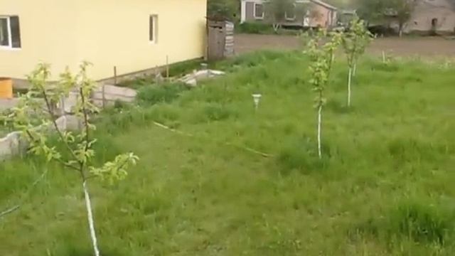 посадка сада пермакультура смотреть онлайн