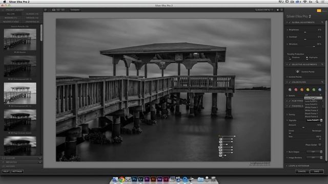 How to Create Amazing Black & Whites with Silver Efex Pro - PLP #141 смотреть онлайн