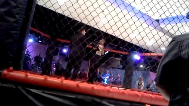 USA National Anthem on Harmonica courtesy of Lisa Frazier смотреть онлайн