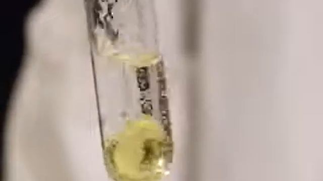 Химия 12 класс Химия и жизнь Биохимия Физические свойства анилина смотреть онлайн