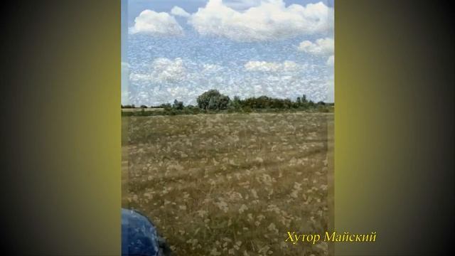 Наши медоносы: гречиха смотреть онлайн