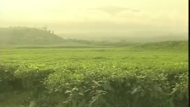 Cameroon : The Most Peaceful Country Of Africa