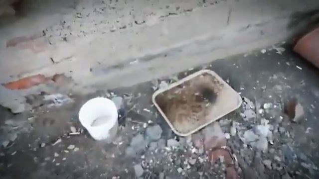 ЛУЧИК НАДЕЖДЫ | Без слез невозможно... смотреть онлайн