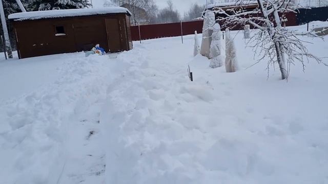 Освобождаем бытовку на участке. Бурим скважину. Леплю пельмени. смотреть онлайн