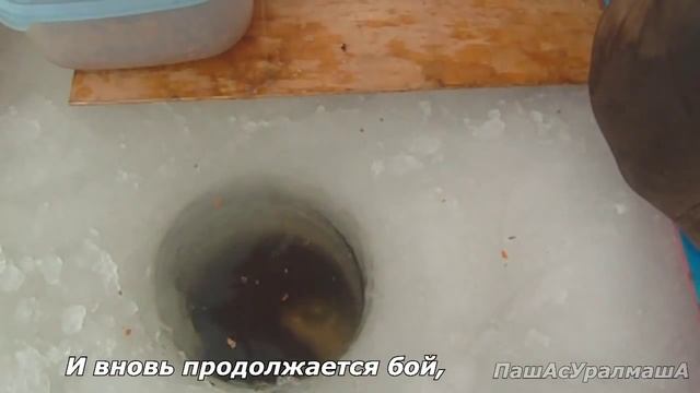 ПашАсУралмашА:-КЛИП:-"И вновь продолжается лов"! смотреть онлайн