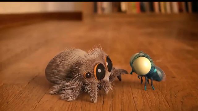 Паучок Лукас ( прыгающий паучок ) #9 смотреть онлайн