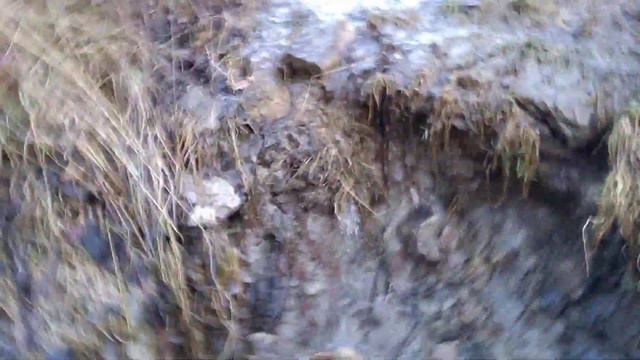 Aldo questa anno non ho battuto il coccige ....il ritorno dalle miniere смотреть онлайн