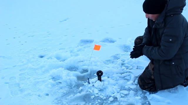 Тут 200 жерлиц стояло? Куда мы попали? Щука на жерлицы. смотреть онлайн