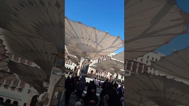 АЗАН В МЕДИНЕ 😍#медина смотреть онлайн