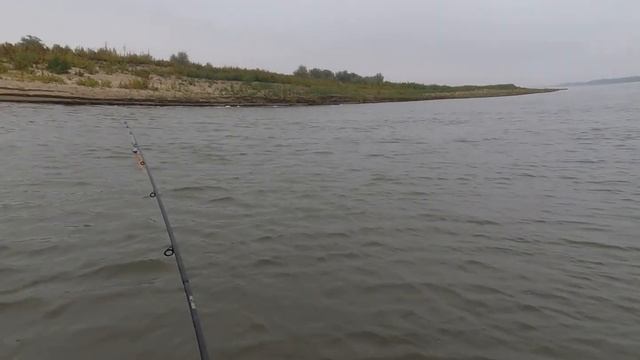 Рыбалка! Бузан река! День первый! Окунь. Судак! смотреть онлайн